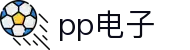 pp电子(中国)股份公司官网